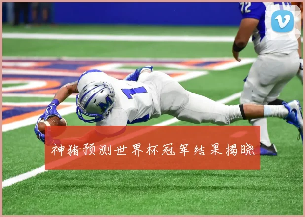 神猪预测世界杯冠军结果揭晓